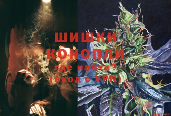 твердый Новозыбков