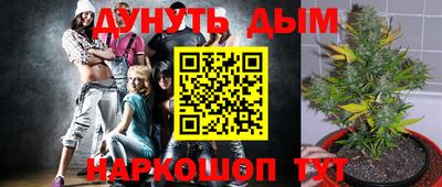 СК Гусев