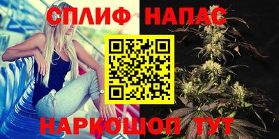 гидра Гусиноозёрск