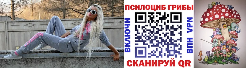 MEGA   Ишимбай  Галлюциногенные грибы мухоморы  где найти  