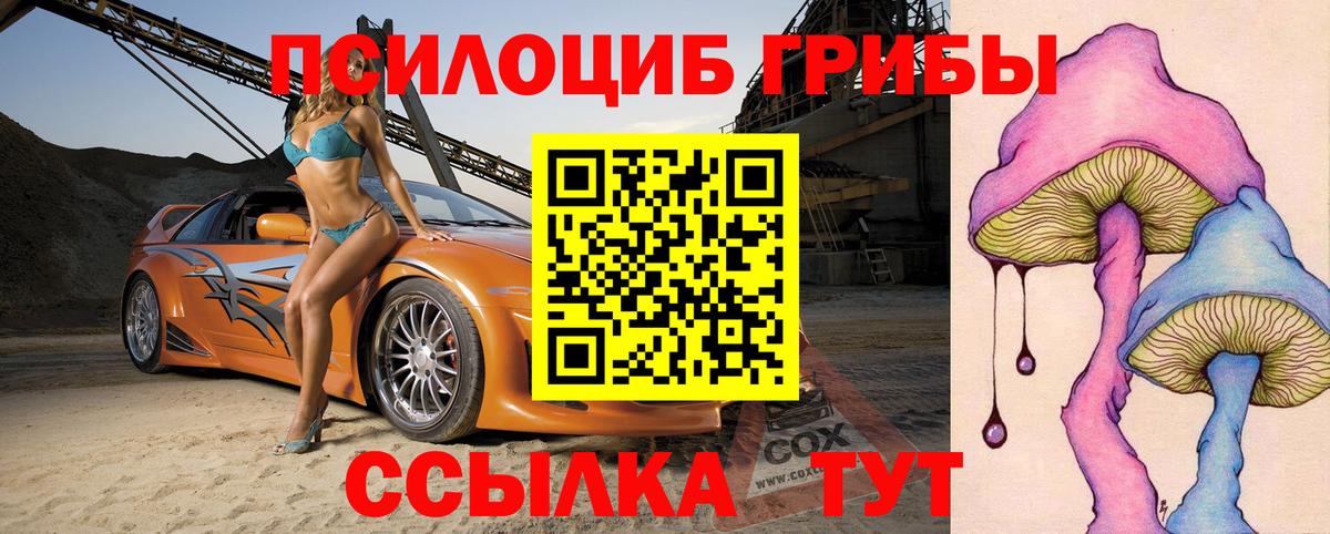 Галлюциногенные грибы прущие грибы  Ишимбай 