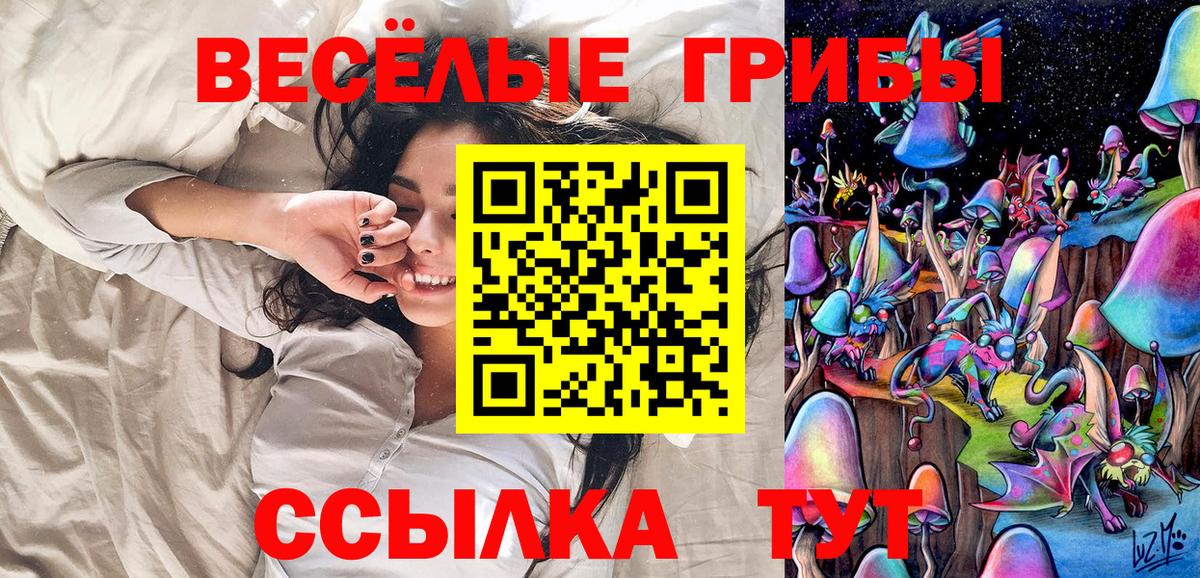 Ишимбай  Галлюциногенные грибы Psilocybine cubensis  Вход с VPN  цены   Галлюциногенные грибы ЛСД 